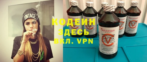 сатива Новозыбков