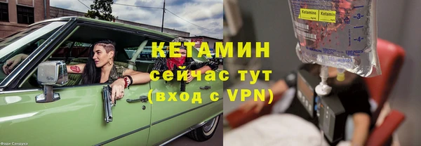 стаф Новодвинск