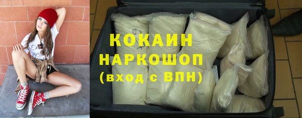 стаф Новодвинск