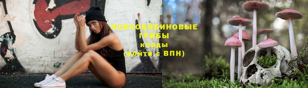 стаф Новодвинск
