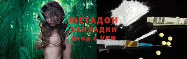 сатива Новозыбков