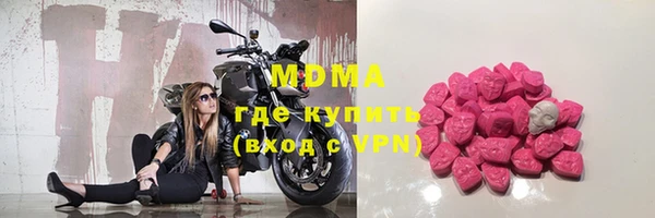 сатива Новозыбков
