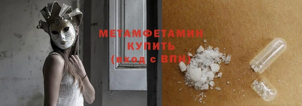 сатива Новозыбков