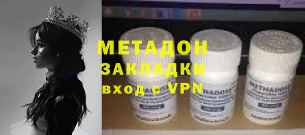 сатива Новозыбков