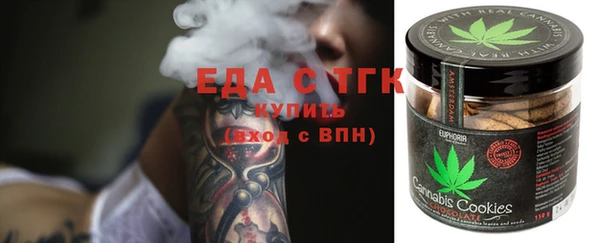 сатива Новозыбков