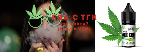 сатива Новозыбков