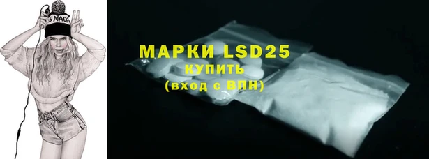 сатива Новозыбков