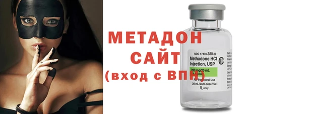 сатива Новозыбков