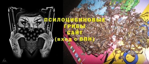 стаф Новодвинск