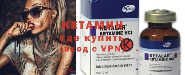 сатива Новозыбков