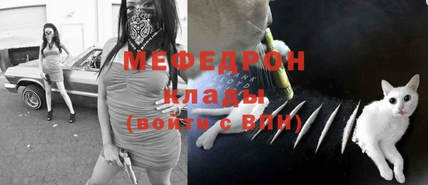 сатива Новозыбков