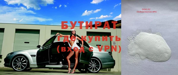сатива Новозыбков